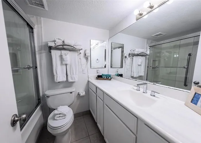 Apartment 142 Fully Furnished 1br Suite-pet Friendly